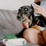 Beco Dog Ear Cleaning Wipes