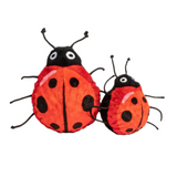 Fabdog Faball Ladybug Dog Toy featuring a spiky TPR ball core with a soft fabric ladybug design, ideal for fetch and chew play.