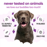 Buddycare Grape Dog Shampoo