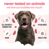 Buddycare Watermelon Dog Shampoo