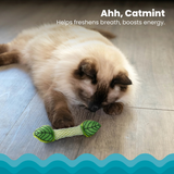 Catstages Fresh Breath Mint Stick
