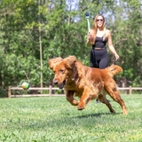 Chuckit Eco Fetch Day 18M Sport Launcher