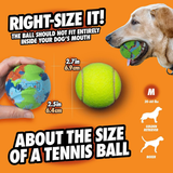 Chuckit Eco Fetch Day Ball