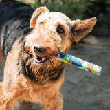 Chuckit Eco Fetch Day Ultra Stick