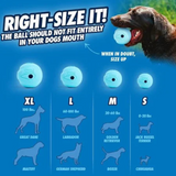 Chuckit! The Whistler Ball Find the Right Size Infograph