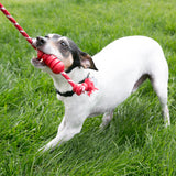 KONG Dental With Rope