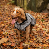 Danish Design 3-in-1 Dog Coat Light Reflective