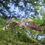 Green & Wilds Desmond The Duck Eco Dog Toy - Sustainable Jute & Suede Toy for Dogs