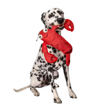 Fabdog Floppy Lobster Plush Dog Toy in small size, featuring soft pineapple plush, floppy limbs, and one squeaker for interactive play.