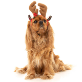 Fuzzyard Reindeer Antlers