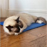 Great & Small Cool Pad – Pressure Activated Cooling Mat for Dogs