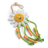 Green & Wilds Crazy Daisy