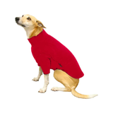 HOTTERdog Jumper Red