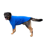 HOTTERdog Jumper Red