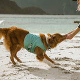 Hurtta Cooling Wrap Aquamarine - Lightweight Breathable Vest for Dogs