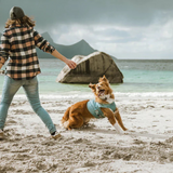 Hurtta Cooling Wrap Aquamarine - Lightweight Breathable Vest for Dogs