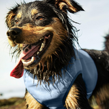 Hurtta Motivation Cooling Vest - Lightweight Breathable Cooling Vest for Active Dogs