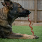 JR Odourless Spiral Pizzle – 100% natural, high-protein, long-lasting dental chew for dogs.