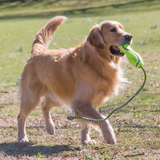 KONG AirDog Fetch Stick With Rope - Squeaky Rope Fetch Toy for Dogs