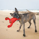 KONG Belly Flops - Floating, Squeaky Toy for Dogs Beach Lifestyle