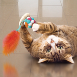 KONG Cat Active Bubble Ball (Assorted Colours) - Catnip Infused Pompom & Feather Toy for Cats