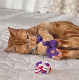KONG Cat Active Rope Red & Purple 2 Pack