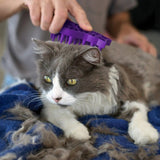 KONG Cat ZoomGroom Rubber Grooming Brush for Cats