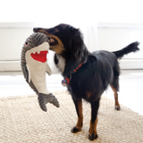 KONG Cuteseas Rufflez Shark - Squeaky, Tactile Plush Toy for Dogs
