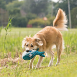 KONG Cuteseas Whale - Squeak and Crinkle Plush Toy for Dogs