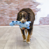 KONG Dynos Roars Blue - Squeaky Fun Plush Toy for Dogs