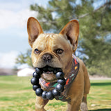 KONG Extreme Ring - Tough, Durable Chew Toy for Dogs