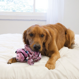 KONG Low Stuff Stripes Pig Plush Dog Toy – Soft, floppy body with low tone squeaker, minimal stuffing, and high-contrast stripes.