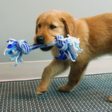 KONG Puppy Rope Stick – Soft, durable rope chew toy for teething puppies, designed for chewing, tugging, and interactive play.