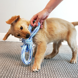 KONG Puppy Rope Tug