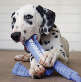 KONG Puppy Signature Crunch Double Rope – Soft & Durable Tug Toy with Crunch Sound for Puppies