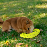 KONG Reflex Flyer - Ultra Durable, Floating Dog Frisbee for Dogs