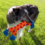 KONG Rope Rally Bone - Durable Rope and Fleece Tug Toy for Dogs