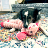 KONG Shakers Crumples Bunny