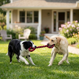 KONG Signature Rope Double Tug