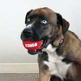 KONG Signature Sport Balls 2 Pack – durable, high-bounce, non-abrasive dog fetch balls, ideal for playtime.