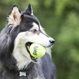 KONG SqueakAir Ball - Durable, Squeaky Tennis Ball for Dogs