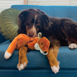 KONG Wild Low Stuff Fox Dog Toy – Soft plush with realistic floppy body, squeaker, and minimal stuffing, perfect for hunting and cuddling.