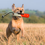 KONG Wild Shieldz Training Dummy – Tough Floating Dog Toy with Braided Paracord Handle