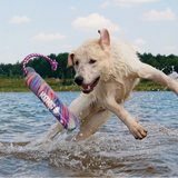 KONG Wild Shieldz Training Dummy – Tough Floating Dog Toy with Braided Paracord Handle