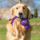 KONG Wubba – Interactive Tug & Fetch Dog Toy with Durable Nylon & Squeaker