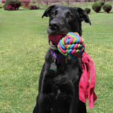 KONG Wubba Weaves – Interactive Rope Ball Dog Toy for Tug, Fetch & Chewing