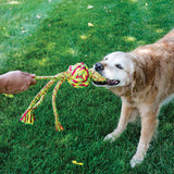 KONG Wubba Weaves with Rope – Interactive Dog Toy for Chewing, Tugging & Fetching
