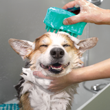 KONG Zoom Groom Bubbles - Shampoo Dispenser & Grooming Brush for Dogs