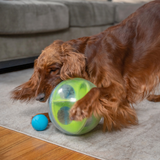 Nina Ottosson A-Maze Ball Green, a 3-in-1 interactive dog puzzle toy with treat ball, maze ball, and tennis ball.
