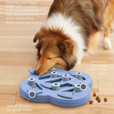 Nina Ottosson Dog Hide N’ Slide Puzzle – Interactive treat-dispensing Level 2 puzzle with sliding blocks and flippers for mental stimulation.
